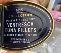 Ventresca tuna fillets
