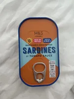 Sardines in tomato sauce