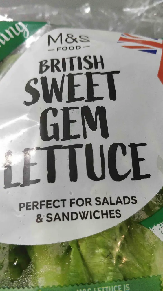 Sweet Gem Lettuce