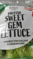 Sweet Gem Lettuce
