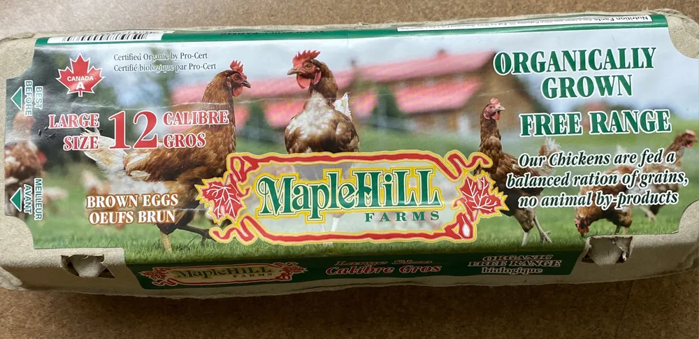12 Large Organic Free-Range Eggs, brown.
