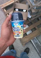 bon yurt