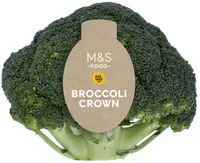 Broccoli