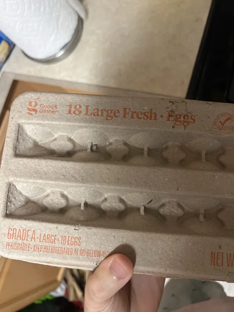Large Fresh Eggs