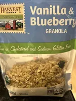 Vanilla and Blueberry Granola
