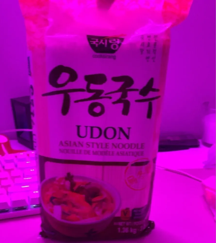 Udon asian style noodle