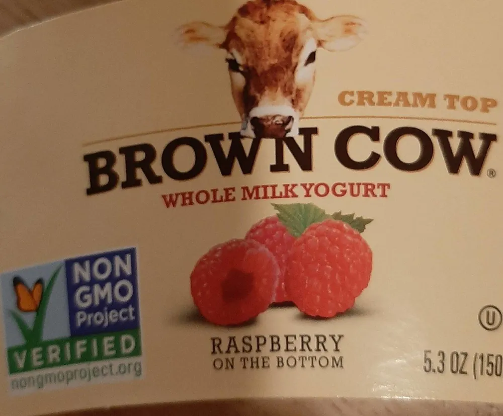 Cream Top Raspberry Yogurt