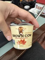 Whole milk yogurt