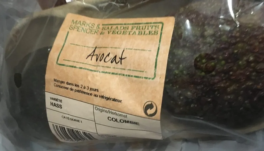 Avocat