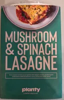 Mushroom & spinach lasagne