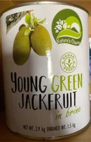 Young green jackfruit