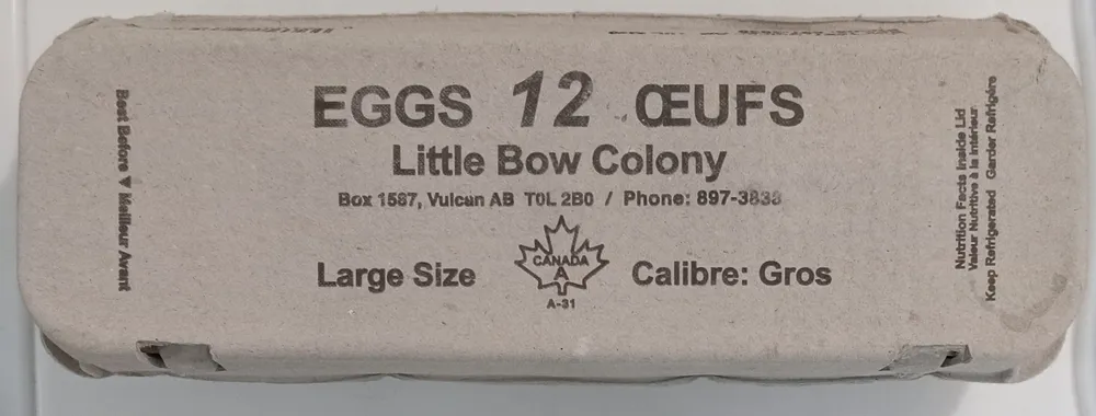 Large Size Eggs