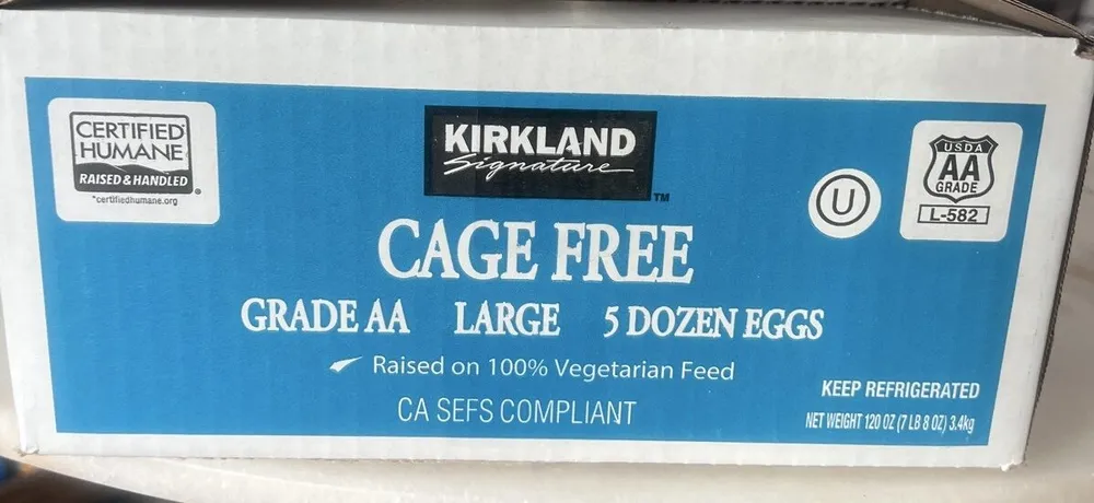 Egg