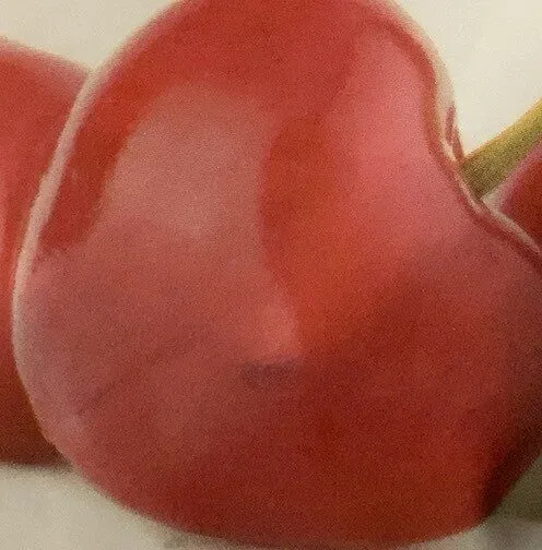 Whole Dried Tart Montmorency Cherries SWEETENED