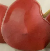 Whole Dried Tart Montmorency Cherries SWEETENED