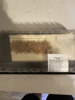 Carrot Bar Cake