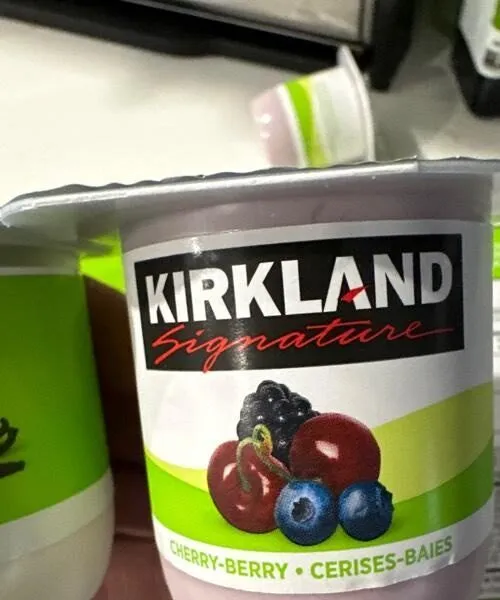 Probiotic Yogurt