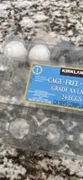CAGE-FREE EGGS GRADE AA LARGE