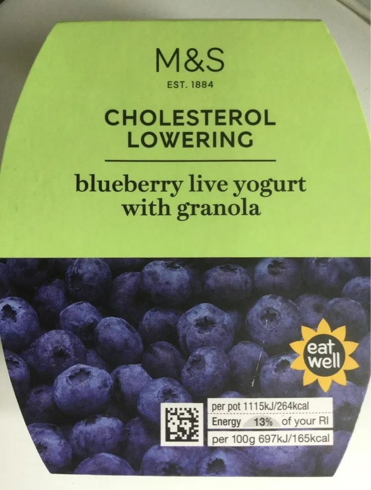 Blueberry live yogurt with granola