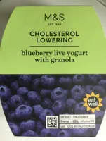 Blueberry live yogurt with granola