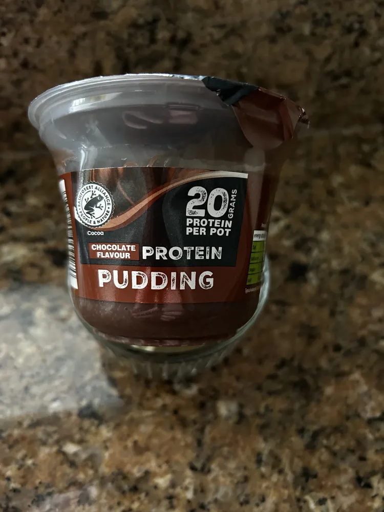 chocolate protein pudding