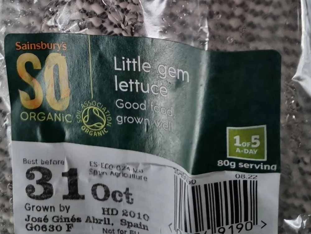 Little gem lettuce