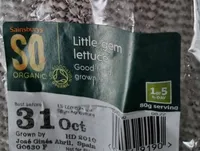 Little gem lettuce