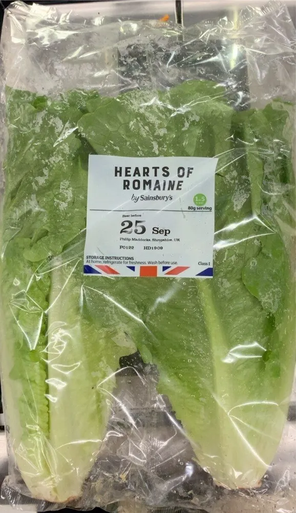 Hearts of romaine