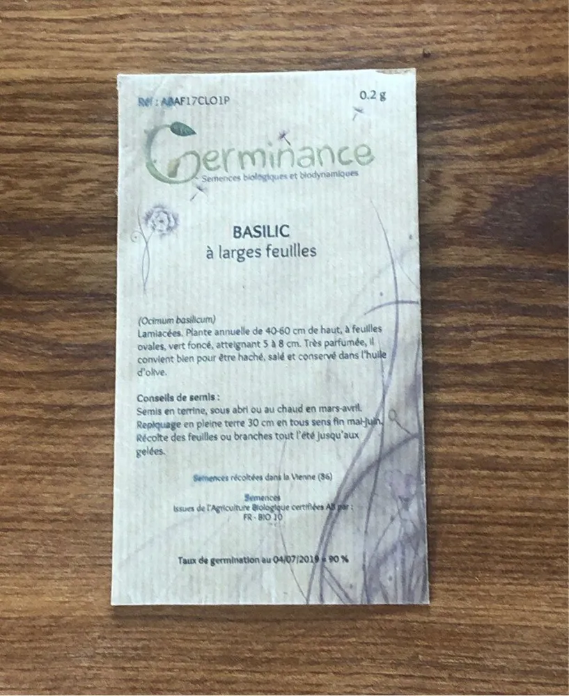 Basilic à larges feulles