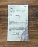 Basilic à larges feulles