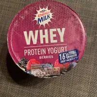 Whey Protein Yogurt