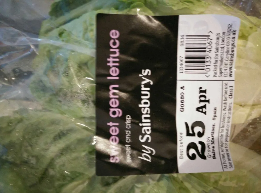 Sweet Gem Lettuce