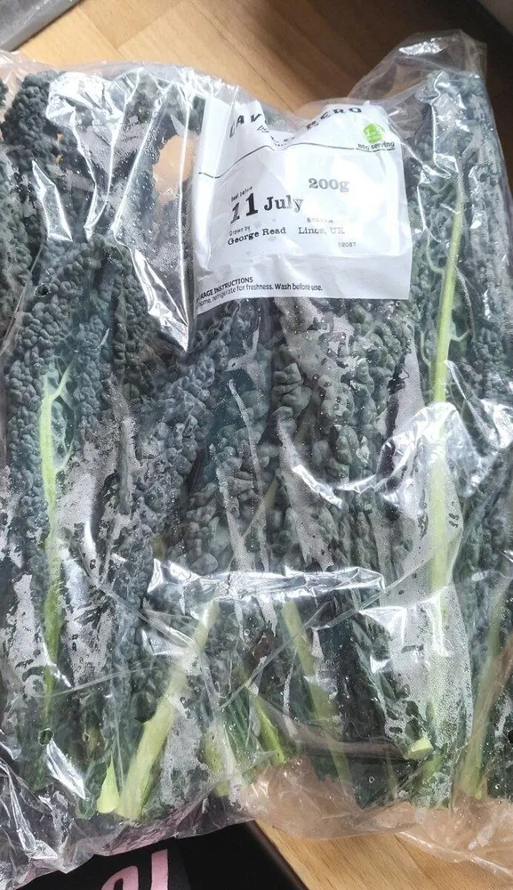 Cavalo Nero