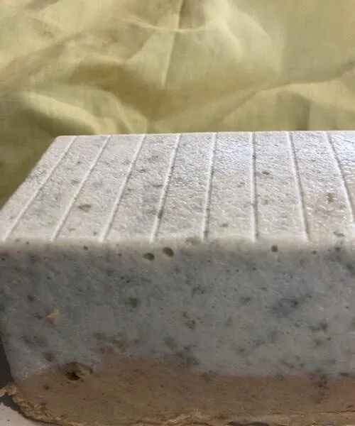 Terrine écrevisses
