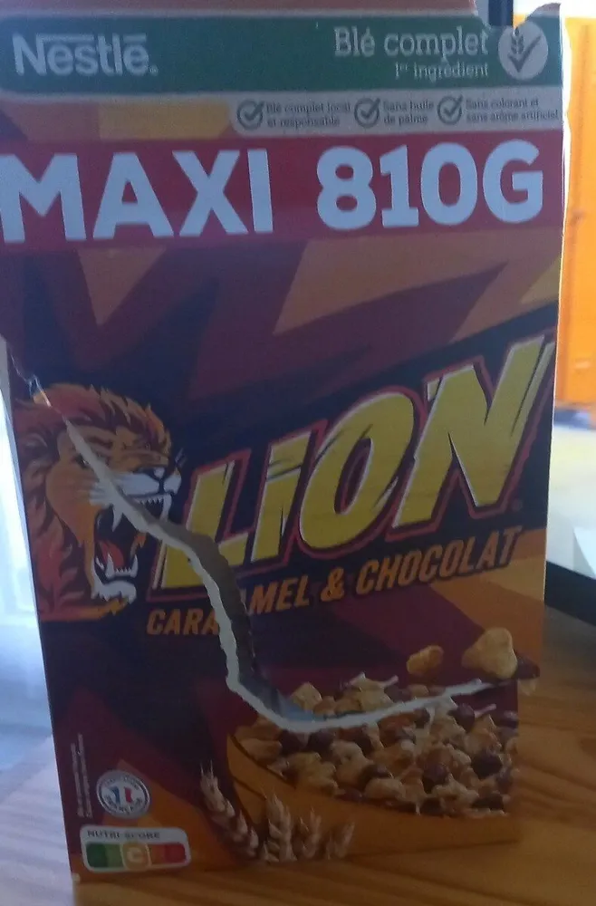 Lion