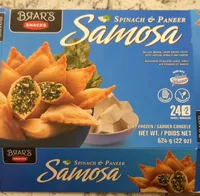Spinach Paneer Samosa