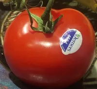 tomate cerise