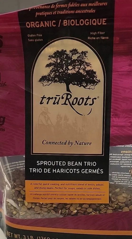 Trio de haricots germés