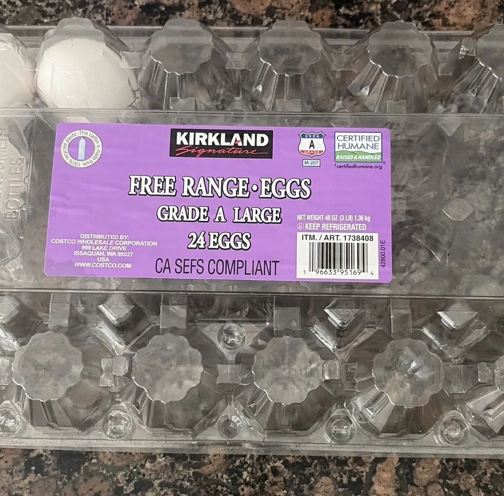 Free Range Eggs Grade A Large