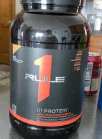 R1 PROTEIN