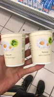 Nature yogourt