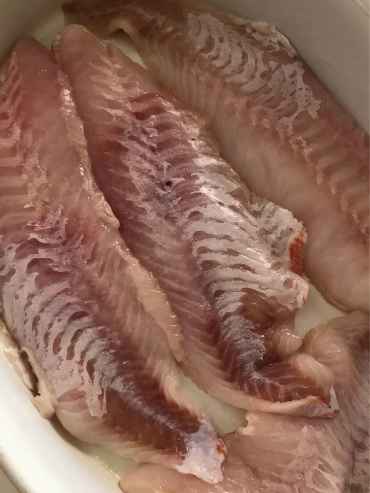 Fillet de dorade
