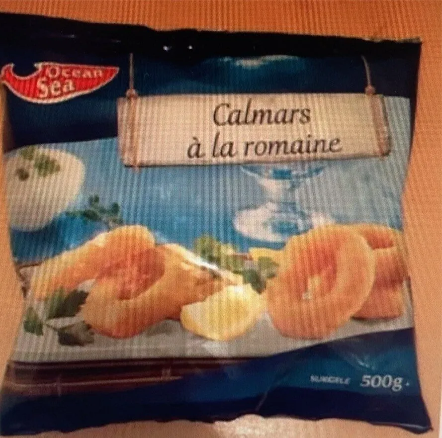 Ocean sea Calmars a la romaine
