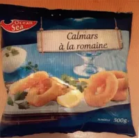 Ocean sea Calmars a la romaine