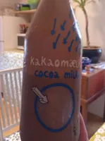 Flying Tiger Cocoa milk