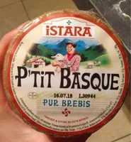 P'tit basque pur brebis