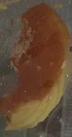 Tropezinne