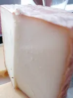 P'tit Basque Brebis