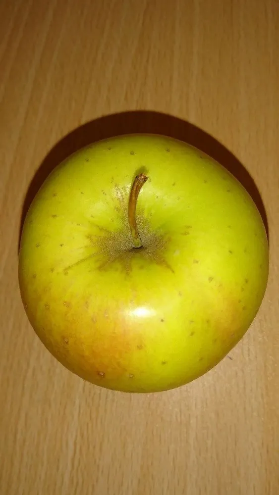 Pomme Golden