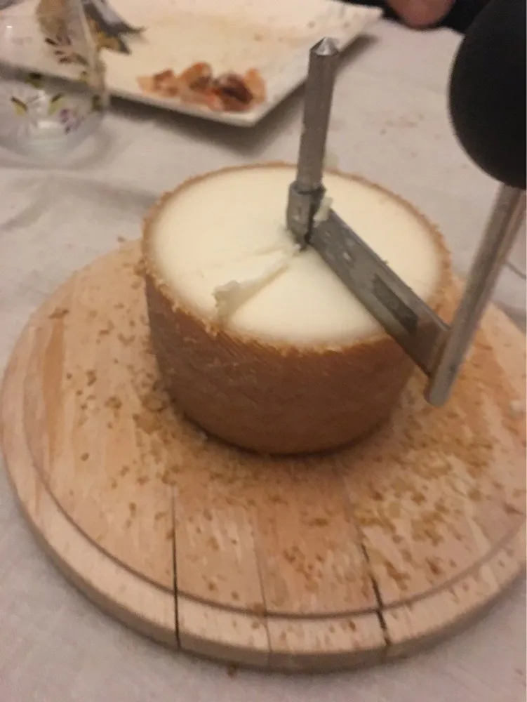 Petit basque